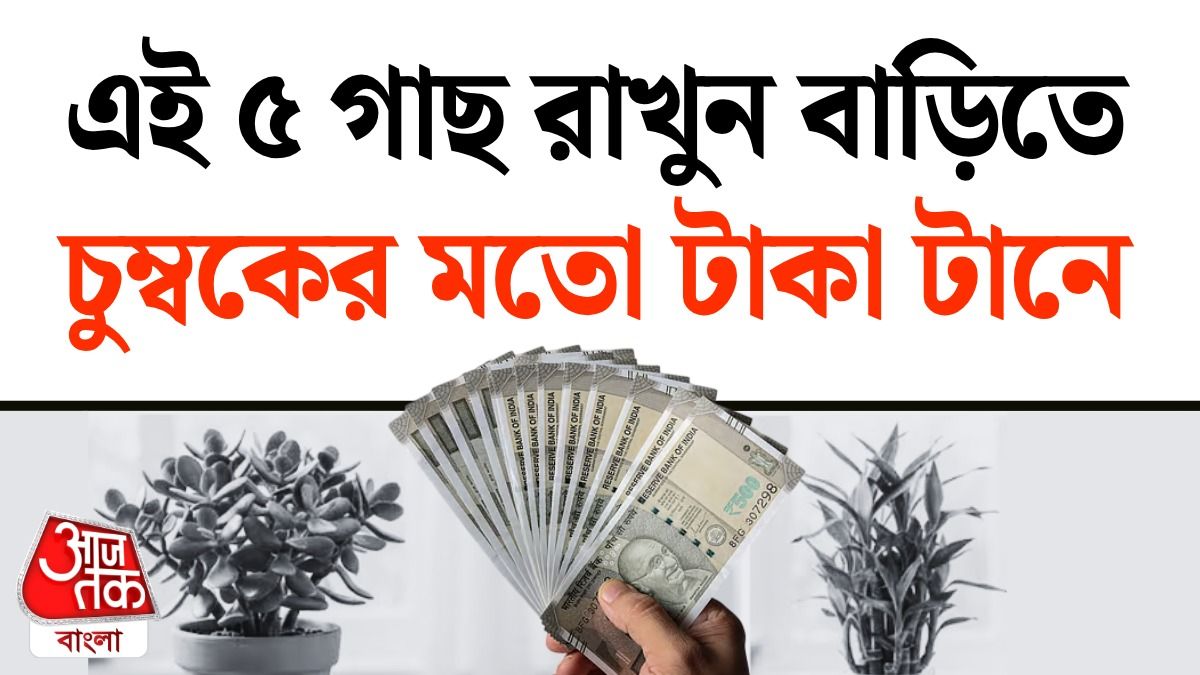 Lucky 5 গাছ রাখুন ঘরে, বেড়ে যাবে আয়, পড়ুন Vastu Tips For Money