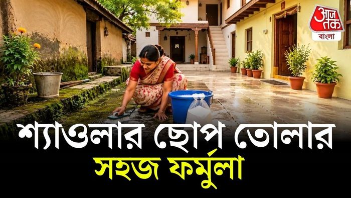 ছাদ বা উঠোনের শ্যাওলা পরিষ্কার করার সহজ উপায় রয়েছে।
