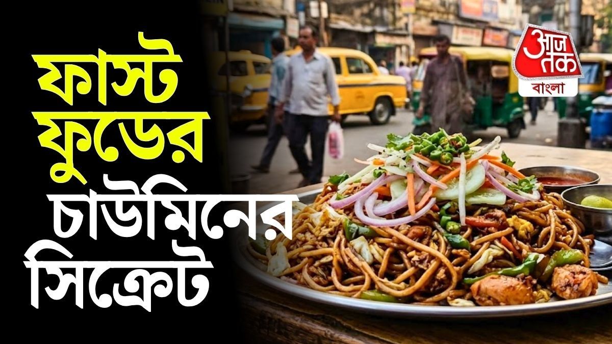 কয়েকটি সহজ কৌশল জানলে বাড়িতেও তৈরি করতে পারেন কলকাতা স্ট্রিট স্টাইল হক্কা চাউমিন।