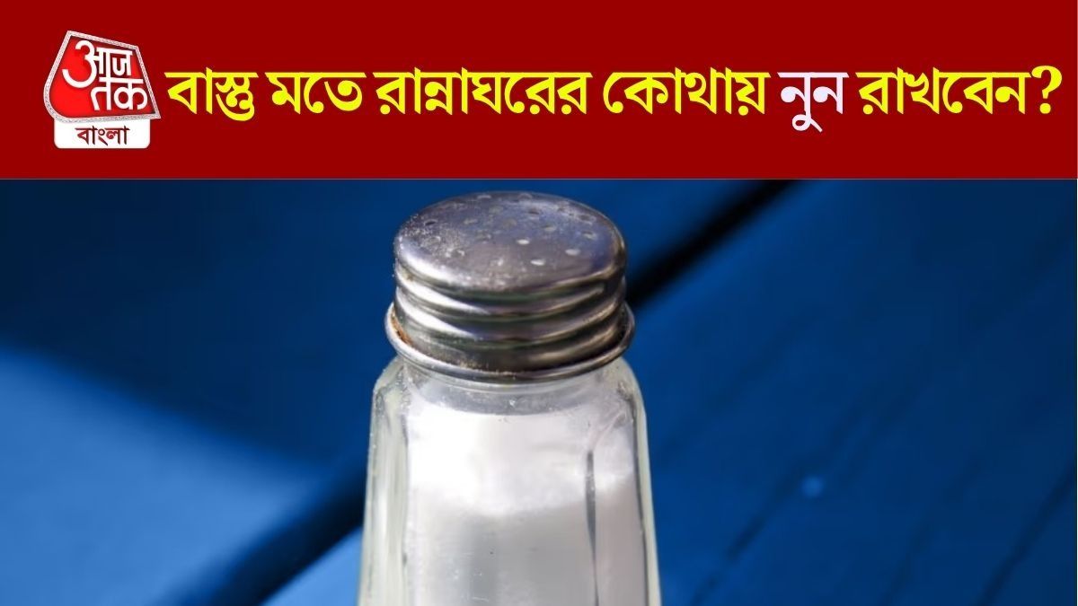 বাড়িতে টাকার অভাব দূর হবে, রান্নাঘরের এদিকে রাখুন নুনের কৌটো
