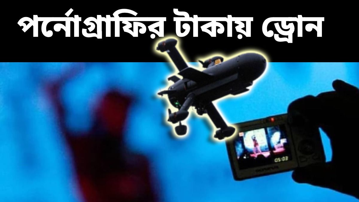  পর্নোগ্রাফিকে বৈধ করে ট্যাক্স চাপানোর ভাবনা