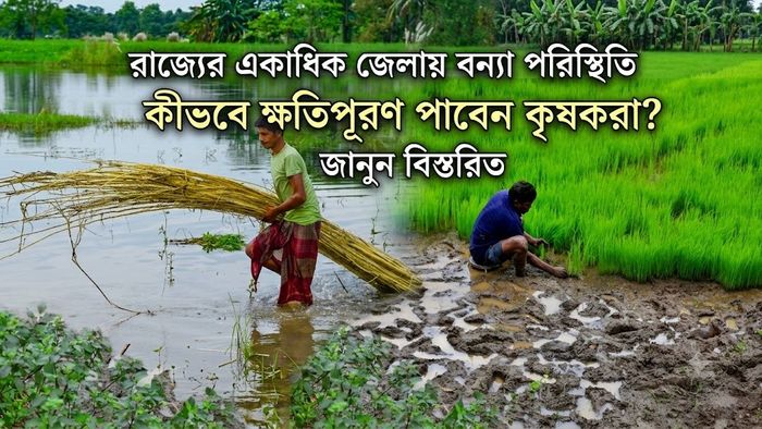 কীভবে ক্ষতিপূরণ পাবেন কৃষকরা? জানুন বিস্তরিত