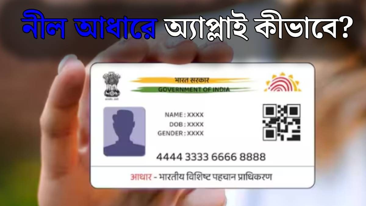 ব্লু আধার কার্ড
