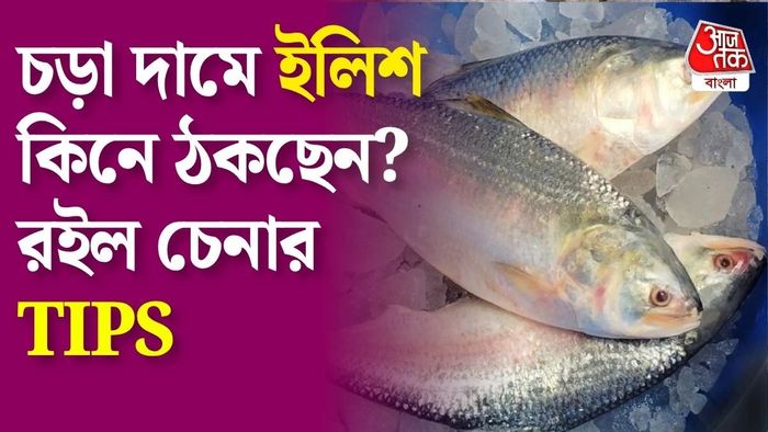 আসল খাঁটি ইলিশ কীভাবে চিনবেন