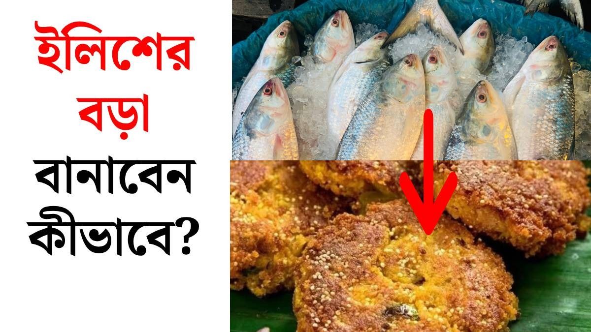 গরম ভাতে মুচমুচে ইলিশের বড়া, একবার খেলেই চাইবেন আরও, রেসিপি জানুন