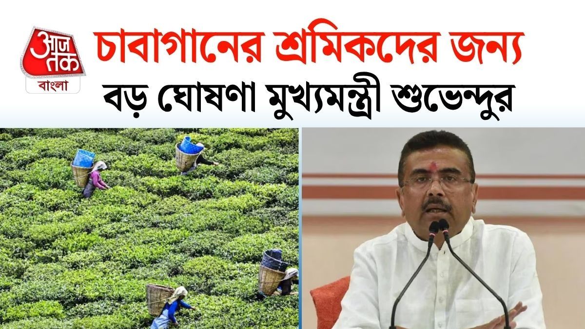 পুজোর আগে ২০% বোনাস, চা বাগানের শ্রমিকদের জন্য বড় ঘোষণা শুভেন্দুর