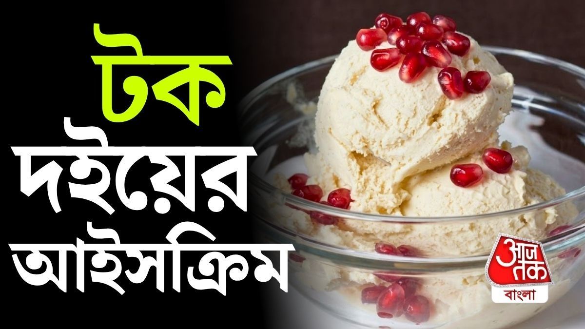 Tok Doi Ice Cream: টক দই দিয়েই বানান আইসক্রিম! দোকানের চেয়ে সস্তা, স্বাদে দুর্দান্ত, উপকারীও