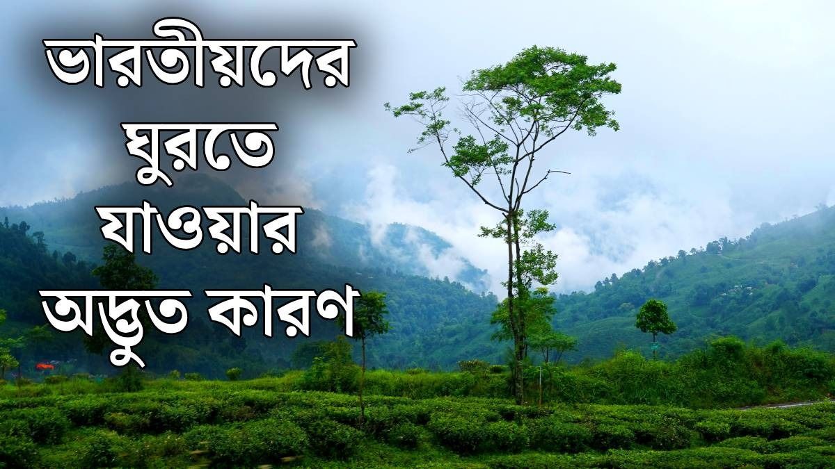 বাড়িতে শ্বশুর-শাশুড়ি এলে, জ্যোতিষী ভাল কিছু বললে, যে যে আজব কারণে ঘুরতে যান ভারতীয়রা