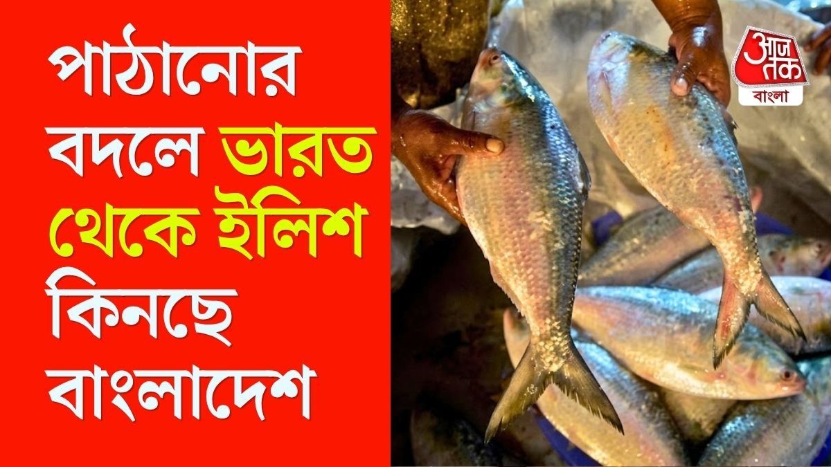 গুজরাত থেকে টন টন ইলিশ যাচ্ছে ঢাকায়, পুজোয় বাঙালির পাতে পড়বে না পদ্মার রুপোলি শস্য