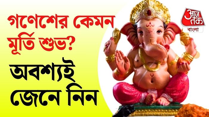 বাড়ির পুজোর জন্য যে গণেশের মূর্তি শুভ, দোকান বা ব্যবসার জায়গার জন্যও কি একই মূর্তি রাখা উচিত?