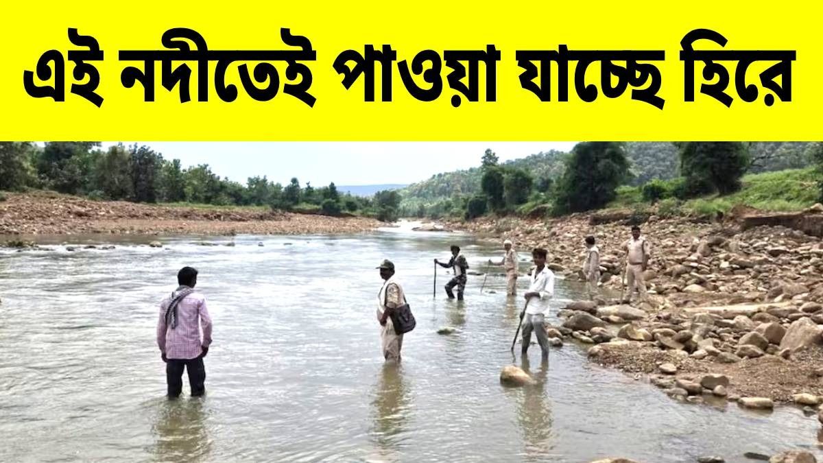 পান্নার নদীতে হিরের টুকরো, বৃষ্টি নামতেই হামলে পড়ল শয়ে শয়ে লোক
