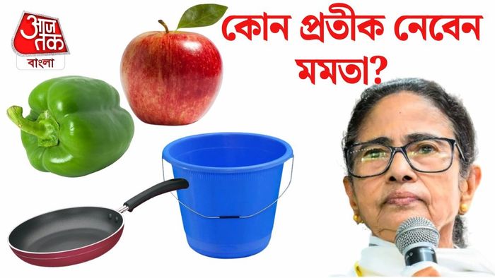 কোন প্রতীক বেছে নেবেন মমতা?