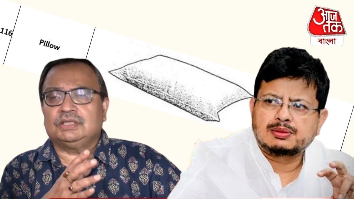 '১১৬ নম্বরে বালিশ প্রতীক রয়েছে,' ঋতব্রতদের পরামর্শ কুণালের, মমতার প্ল্যান B নিয়ে কী বলছেন?