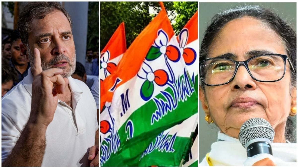 'লড়াইটা ওঁর একার নয়...' মমতার পাশে দাঁড়ালেন রাহুল, কমিশনের তীব্র নিন্দা কংগ্রেসের