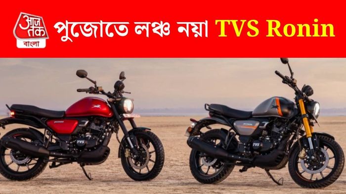 নতুন TVS Ronin (ছবি: সংস্থা)