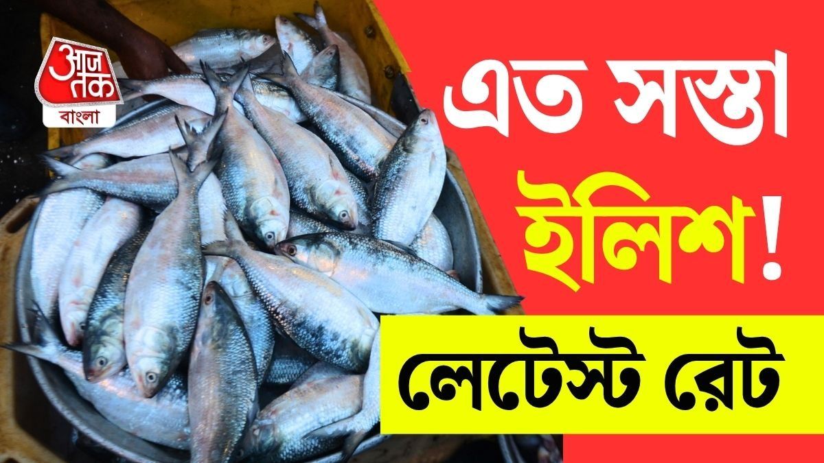 ইলিশ মিলছে জলের দরে, মাত্র ৬০০-৭০০ টাকা কেজি; কোন কোন বাজারে গেলে পাবেন? 