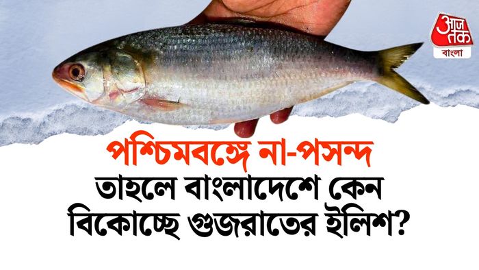গুজরাত থেকে ইলিশ যাচ্ছে বাংলাদেশে