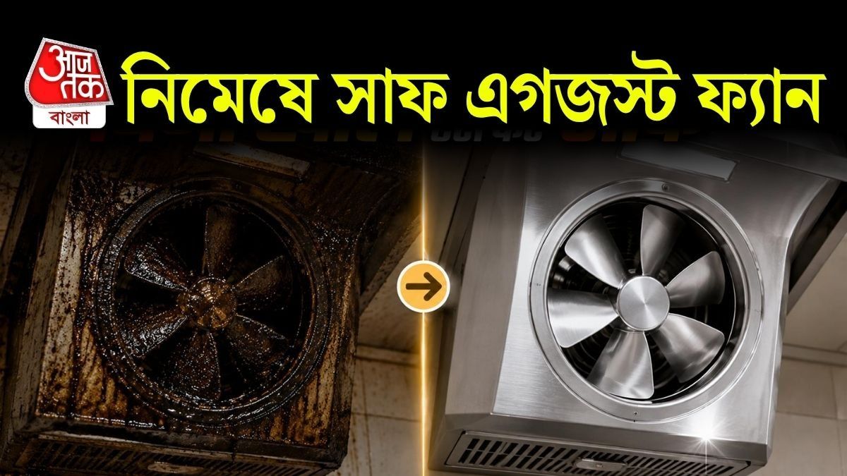 ফ্যানের জাল, ব্লেড এবং কভারে ধীরে ধীরে তেল ও ধুলোর আস্তরণ জমতে থাকে।
