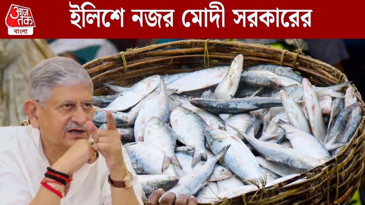  বাঙালির ইলিশ নিয়ে বড় প্ল্যান মোদী সরকারের, কেন্দ্রের মত্‍স্যমন্ত্রী যা জানালেন