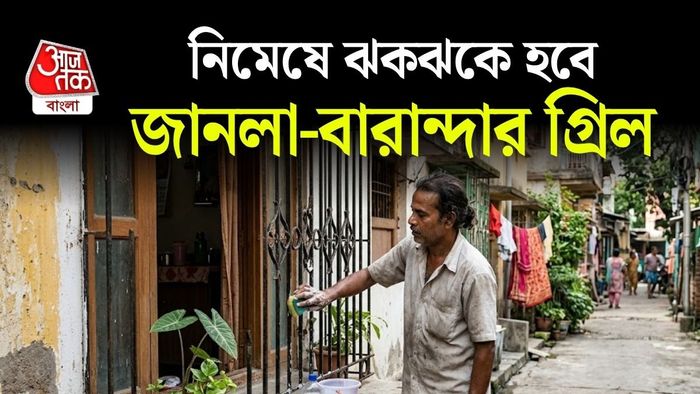 গ্রিলে ধুলো জমে কালচে হয়ে গেলে তা পরিষ্কার করা বেশ ঝামেলার।