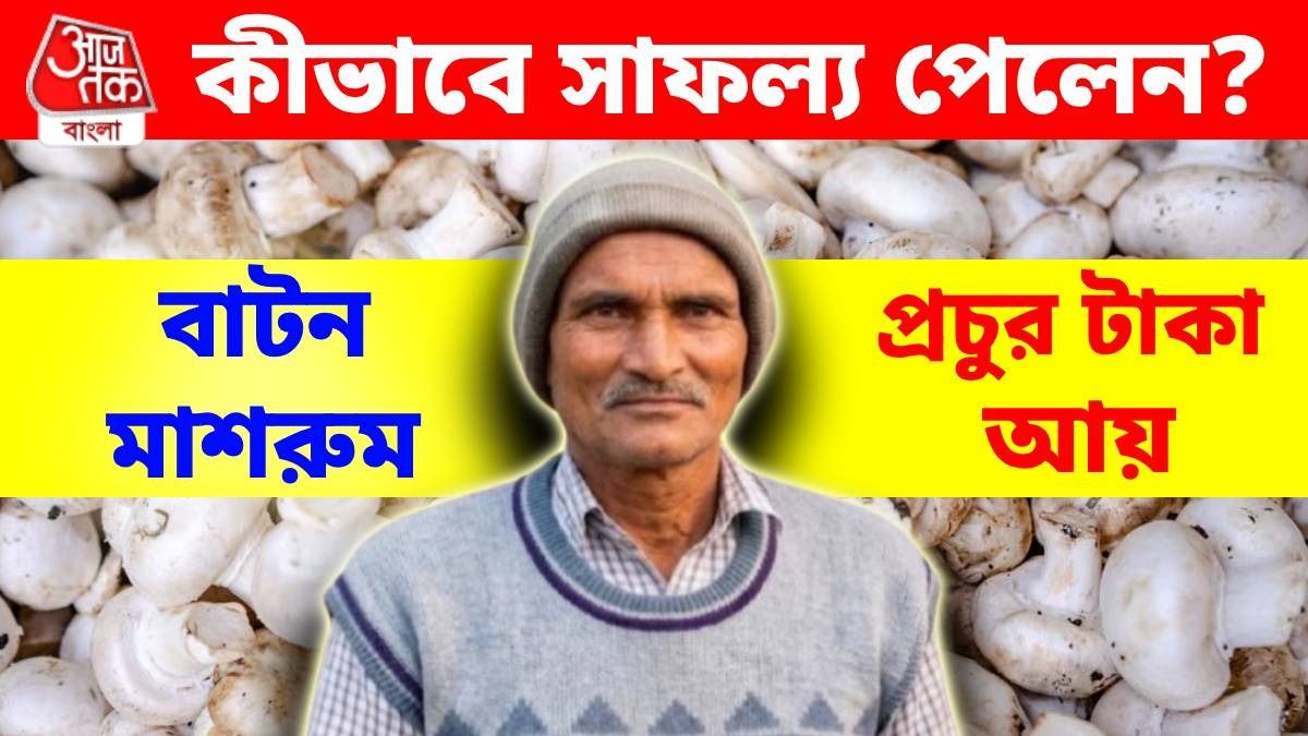 জমি কম, তাতে কী! বাটন মাশরুম চাষ করে বিরাট লাভ, টাকা ছাপানোর নয়া টেকনিকে মালামাল