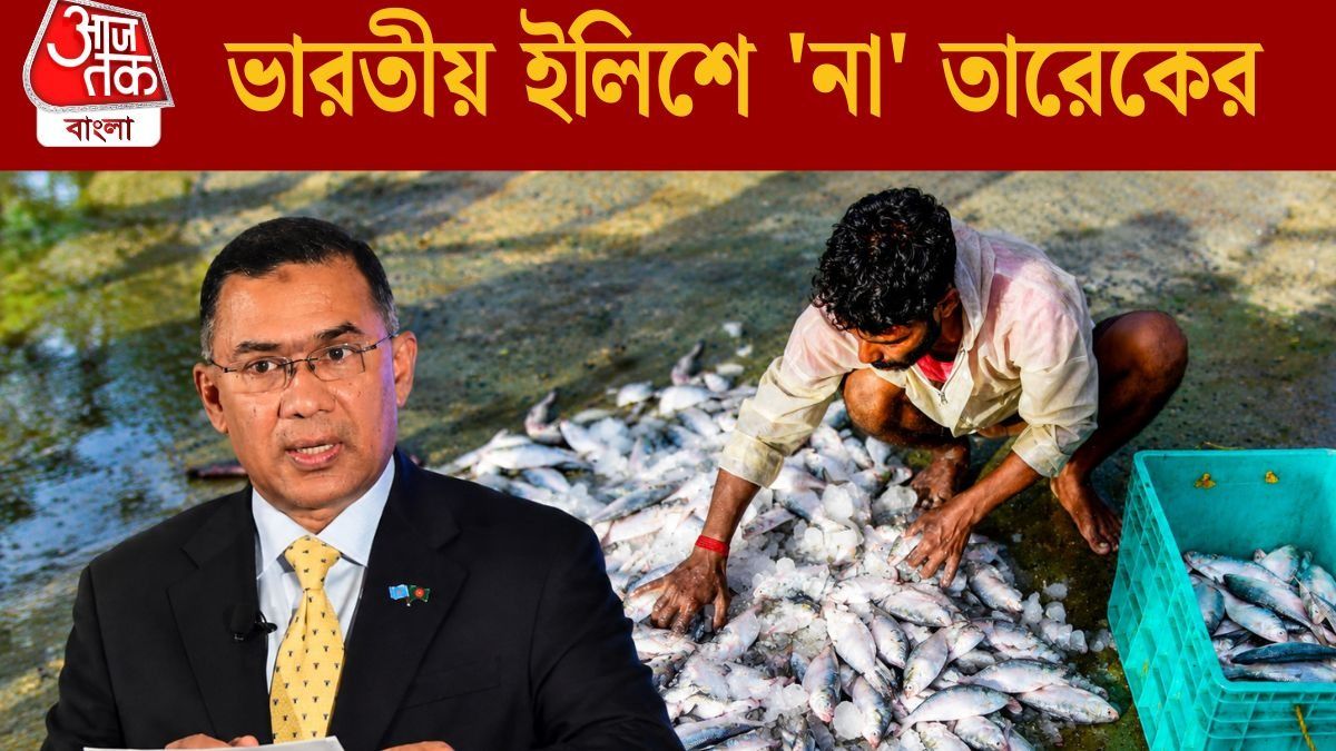 গুজরাতের ইলিশ খাবে না বাংলাদেশ, হঠাত্‍ নিষেধাজ্ঞা তারেকের, কেন?