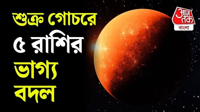 প্রেম, সৌন্দর্য, অর্থ, বিলাসিতা এবং সুখ-স্বাচ্ছন্দ্যের সঙ্গে শুক্রের যোগ রয়েছে বলে জ্যোতিষীদের একাংশের মত।