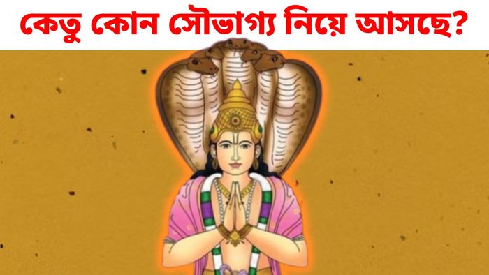 আগামী সপ্তাহেই গোচর করবে কেতু, ৭১ দিন অর্থভাগ্য চমকাবে ৫ রাশির
