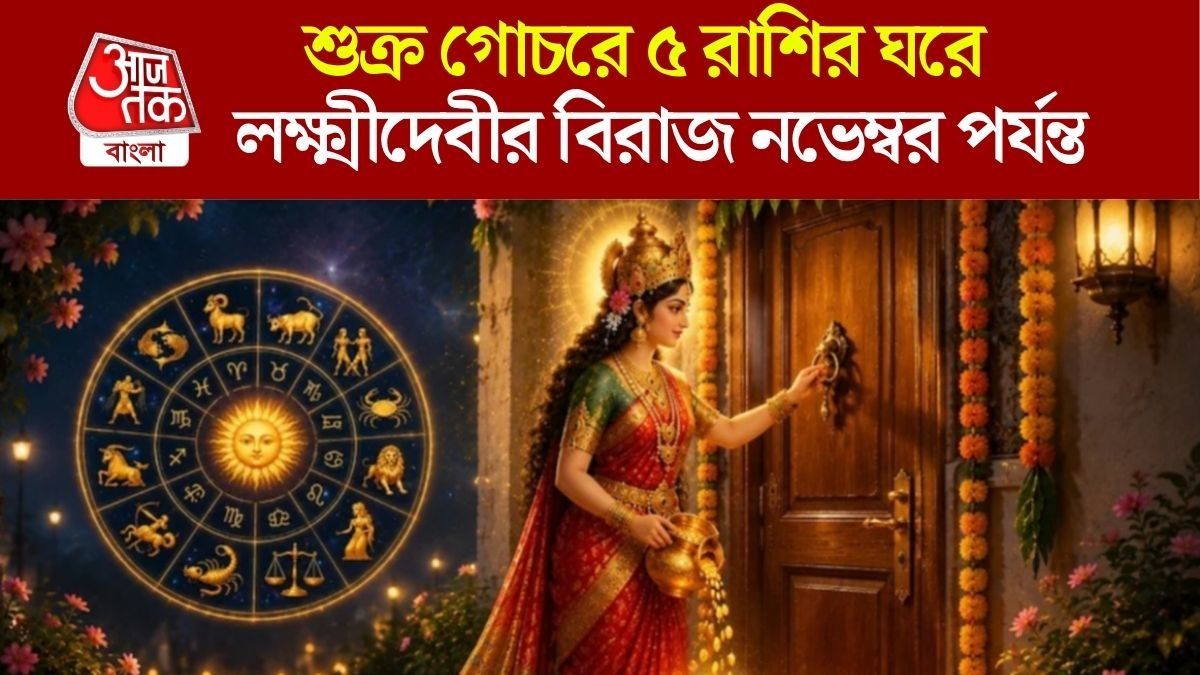 শুক্রের গোচরে ভাগ্য প্রসন্ন, নভেম্বর পর্যন্ত ৫ রাশির প্রেম ও কর্মক্ষেত্রে বাম্পার লাভ 