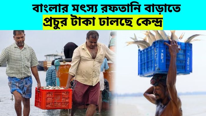 রাজ্যের মৎস্য রফতানি বাড়াতে প্রচুর টাকা ঢালছে কেন্দ্র