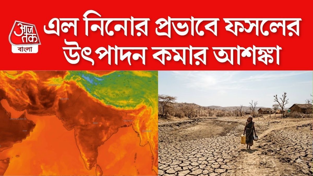 কোথাও অতি বৃষ্টি,কোথাও খরা; এল নিনোর জেরে কমতে পারে রবিশস্যের উৎপাদন