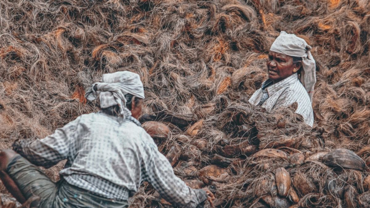 বাংলার পাটকলের শ্রমিকেরা পাবেন পাকা বাড়ি; দুই জেলায় আবেদন নেওয়া শুরু করল রাজ্য