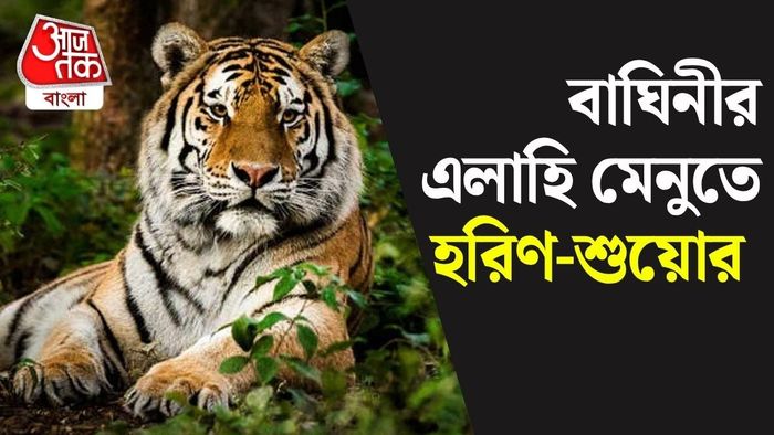 প্রতীকী ছবি