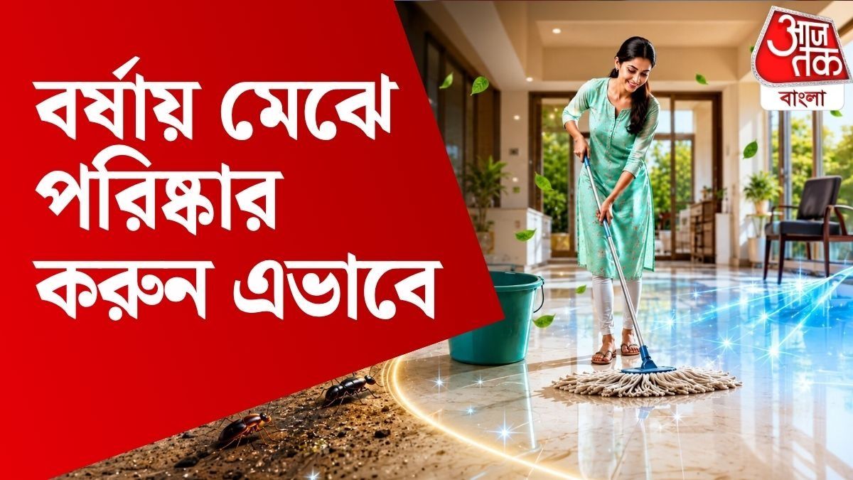বর্ষায় বাড়িতে পোকামাকড় এড়াবেন কীভাবে? মেঝে মুছুন এভাবে