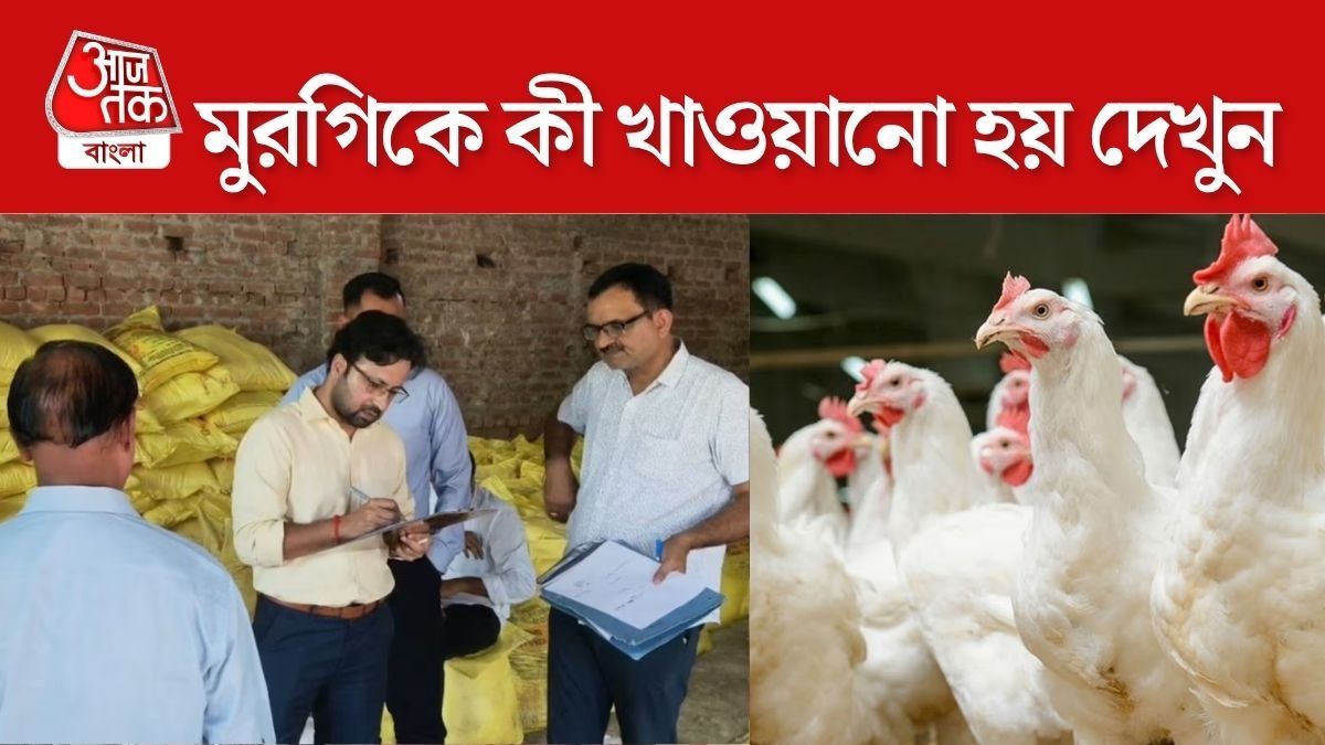 মুরগির খাবারে যা মেশানো হচ্ছিল... দেখেই আঁতকে উঠলেন অফিসাররা, Shocking