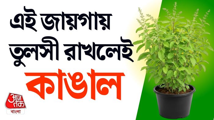 বাস্তু টিপস