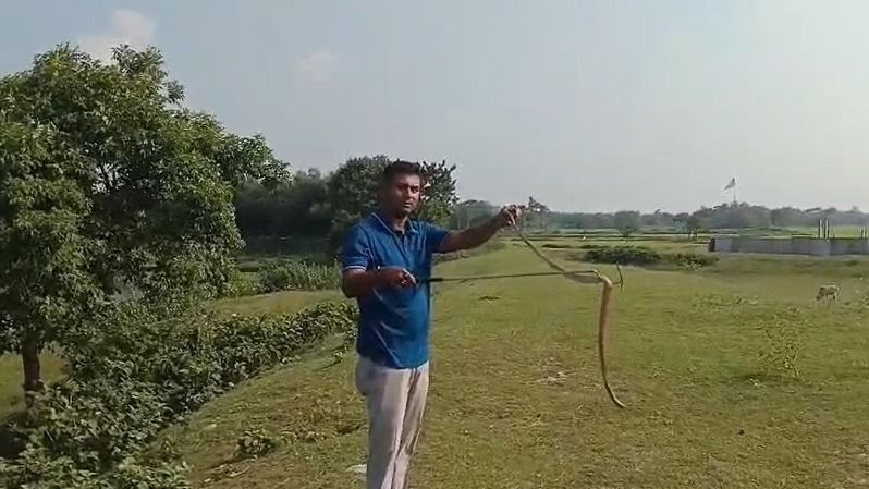 কোচবিহারের স্বাস্থ্যকেন্দ্রে সাপের উপদ্রব, ঝুঁকি নিয়ে বিষধর সাপ উদ্ধার পরিবেশকর্মীর