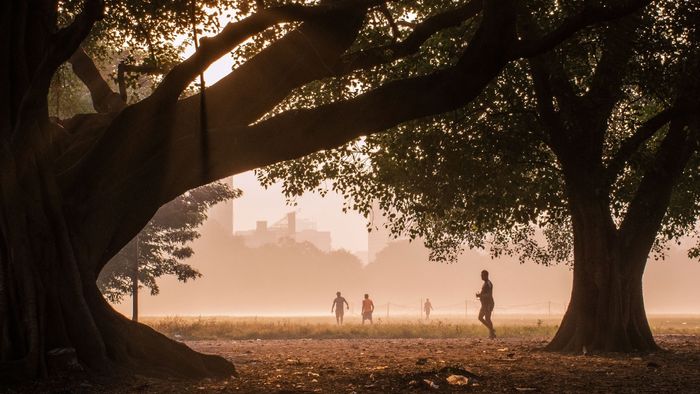 সাতসকালেই কুয়াশা আচ্ছন্ন কলকাতা