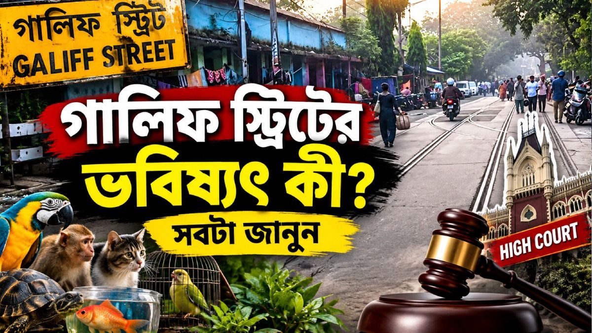 এই রবিবারেও খাঁ খাঁ করছে গালিফ স্ট্রিট; ফুলদমে মাছ, পাখির হাট কবে বসবে?