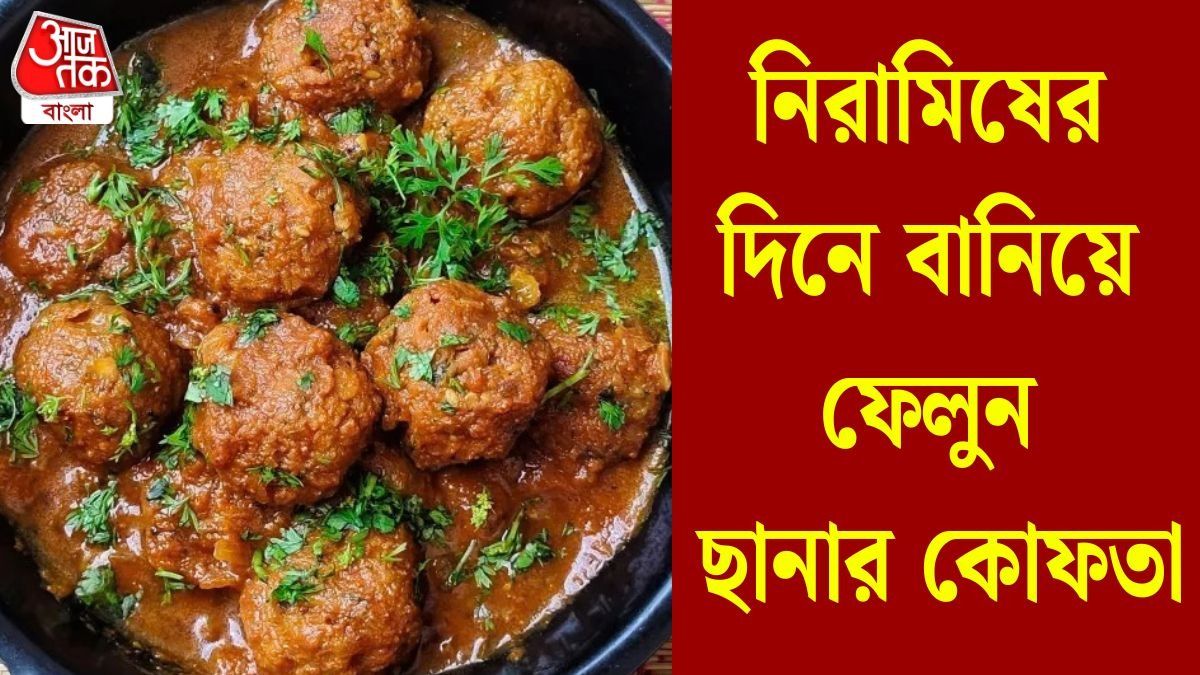 নিরামিষের দিনে বানিয়ে ফেলুন ছানার কোফতা