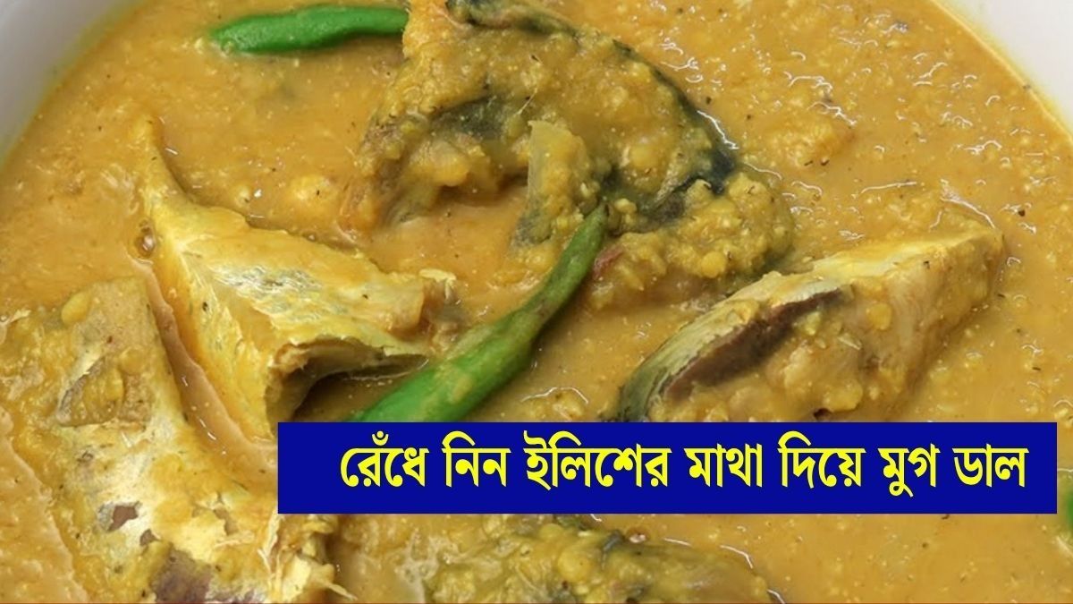 রেঁধে নিন ইলিশের মাথা দিয়ে মুগ ডাল