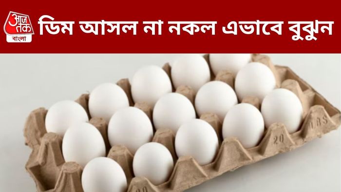 আসল না নকল ডিম