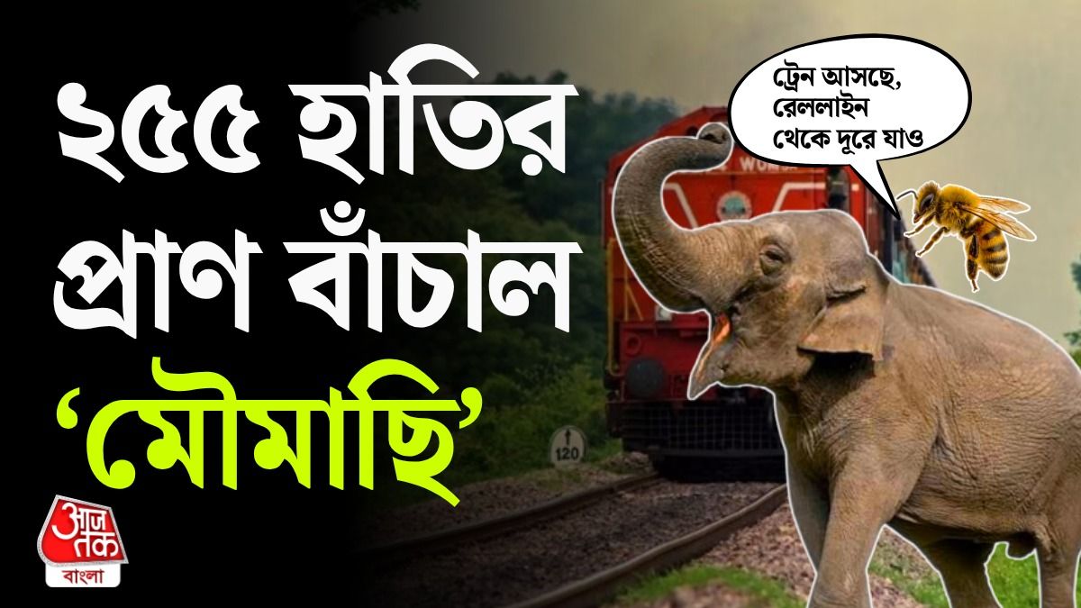 ভারতীয় রেলের Plan Bee, উত্তরবঙ্গ ও অসমে প্রাণ বাঁচল 255 হাতির, পুরো কাহিনি জানুন