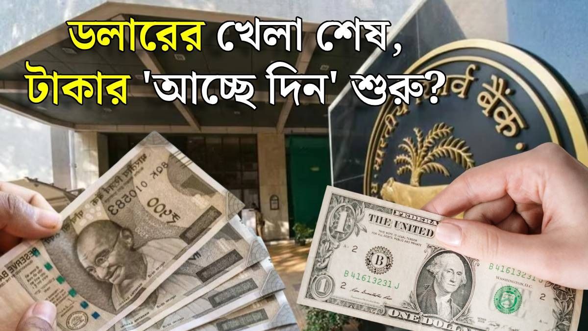 এবার মার্কিন ডলার বেচবে RBI, হঠাৎ কেন এই সিদ্ধান্ত?