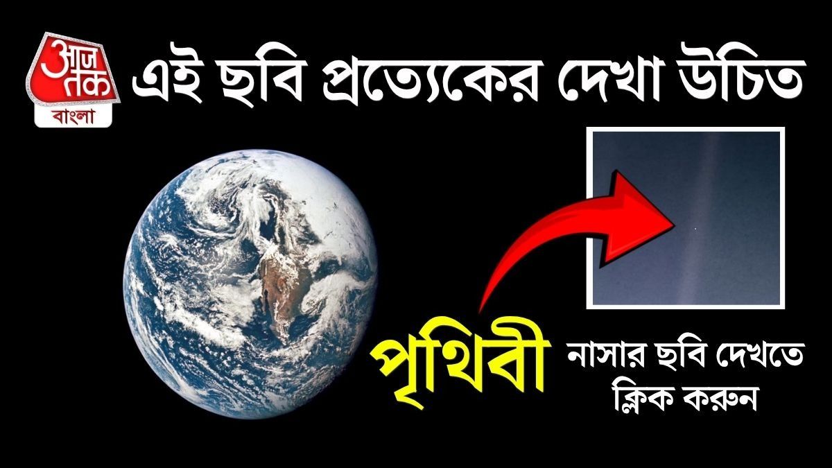 এই ছবির নাম ‘পেল ব্লু ডট’ (Pale Blue Dot)। 
