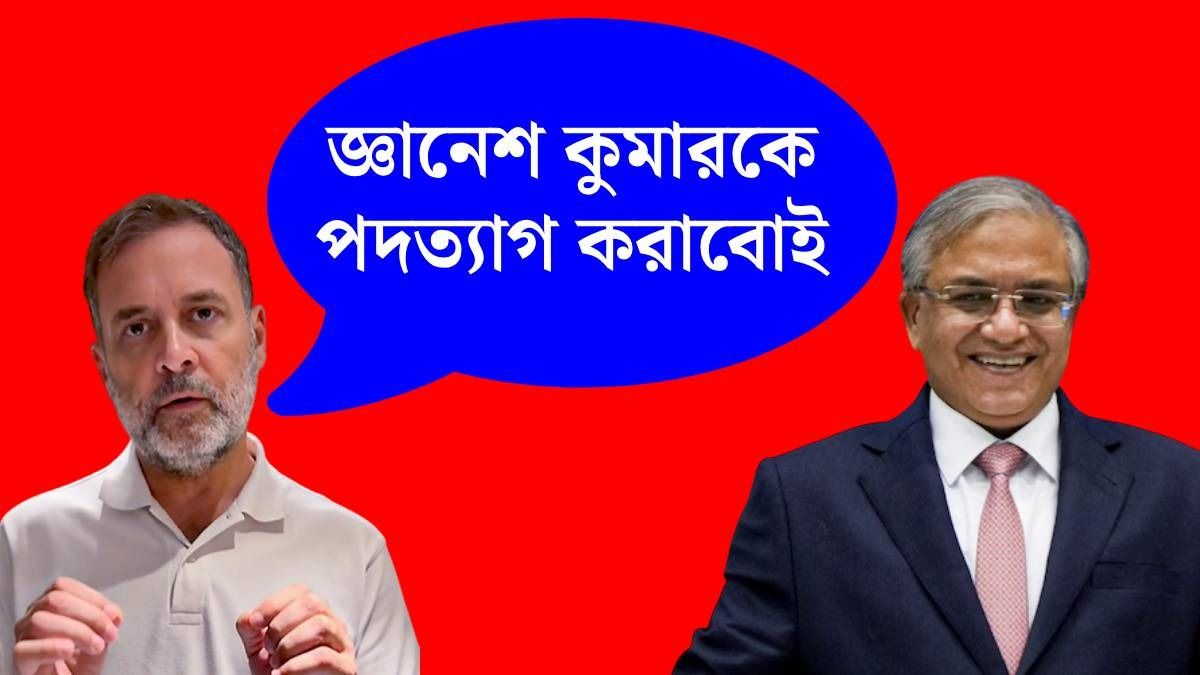 জ্ঞানেশ কুমারকে কী বার্তা রাহুল গান্ধীর (ছবি: পিটিআই)
