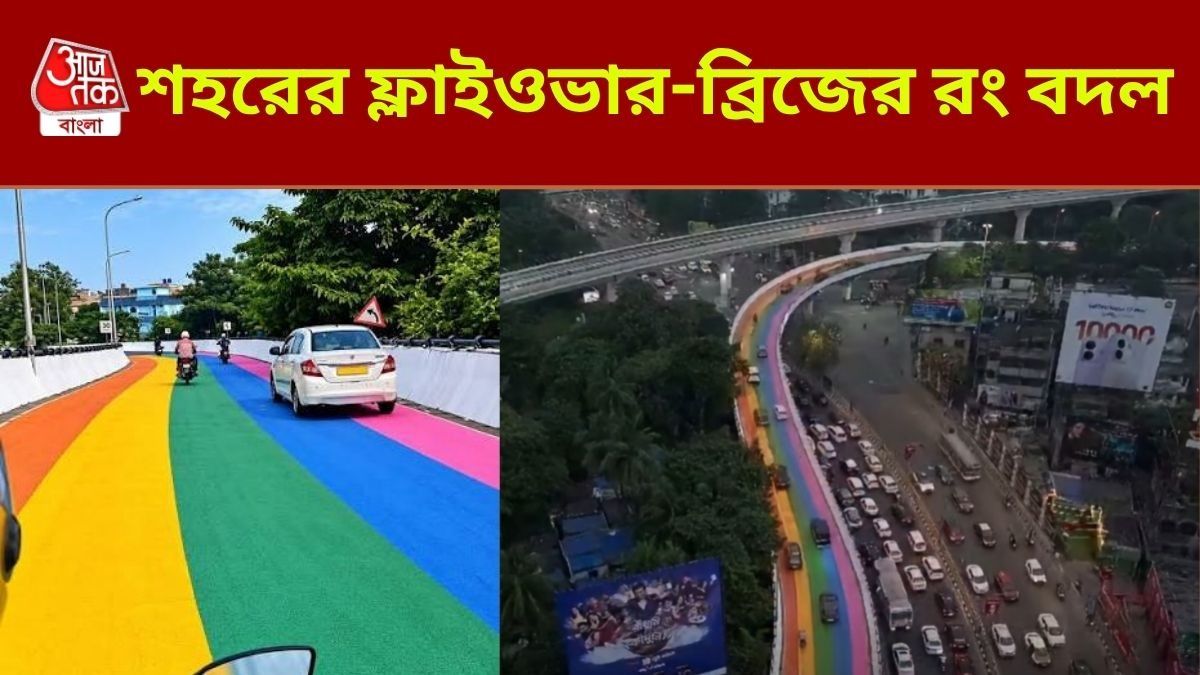 শহরের উড়ালপুল-ব্রিজের রং বদল