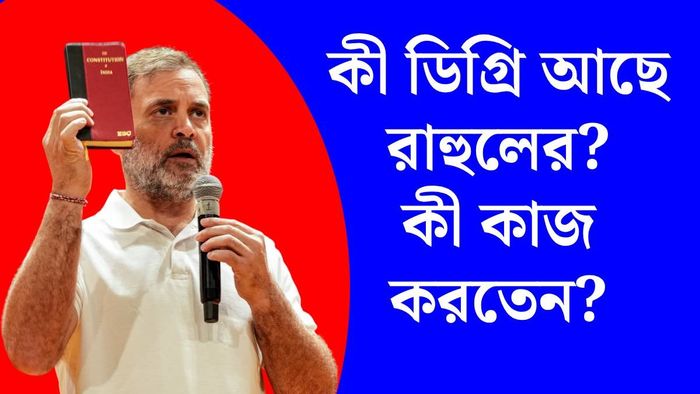 রাহুল গান্ধীর পড়াশোনা ও কেরিয়ার (ছবি: পিটিআই)