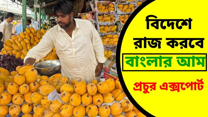 আন্তর্জাতিক বাজারে রফতানি বাড়বে ল্যাংরা, হিমসাগরদের