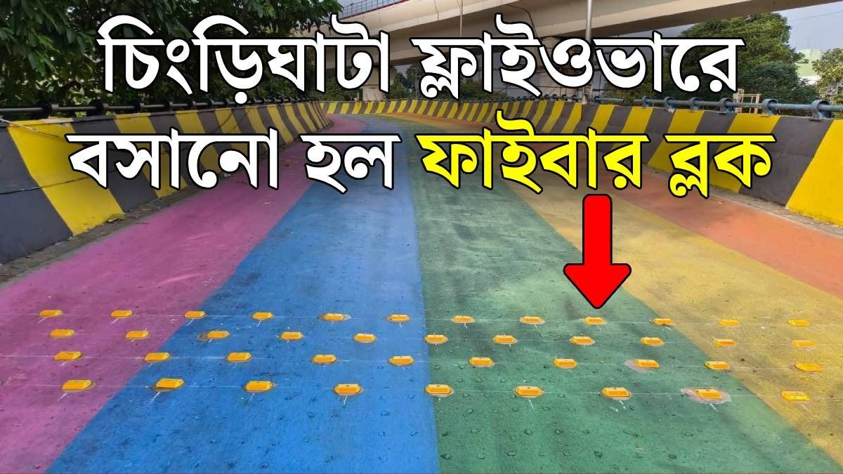 রামধনু রঙের চিংড়িঘাটা ফ্লাইওভারে রাতারাতি বসল ফাইবার ব্লক, দুর্ঘটনা রুখতে বড় ব্যবস্থা 